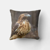 ハドソン渓谷のアカタカ クッション (裏面)