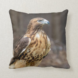 ハドソン渓谷のアカタカ クッション