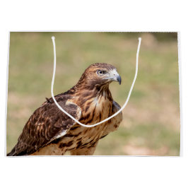 ハドソン渓谷のアカタカ ラージペーパーバッグ