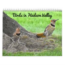 ハドソン渓谷の鳥