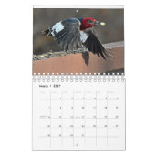 ハドソン渓谷の鳥 カレンダー (3月 2027)