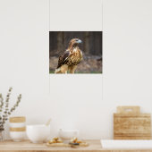 ハドソン渓谷の20x16赤尾のタカ ポスター (キッチン)