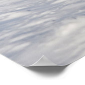 ハドソン湾近くのホッキョクグマ ポスター (角)