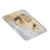 ハドソン湾近くのホッキョクグマ マグネット (右側)