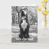 ハドソン-あなたは真の友達カード カード (黄色い花)