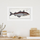 ハドック(Gadus Aeglefinus)プレートLXII from 'Ichthy ポスター (キッチン)