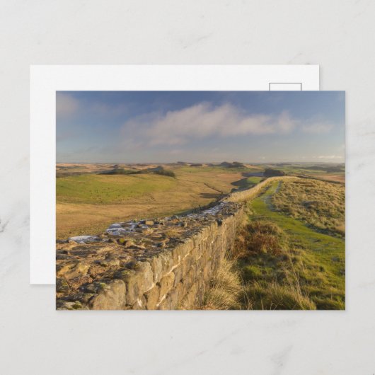 ハドリアンの城壁から見たノルハンバーランドの景色 ポストカード (正面/裏面)