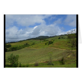 ハナのワイナリーの眺め2018年4月