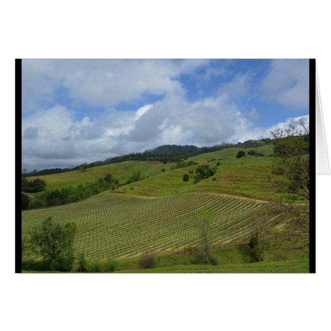 ハナのワイナリーの眺め2018年4月 (正面横)