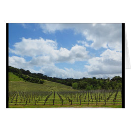 ハナのワイナリー2018年4月