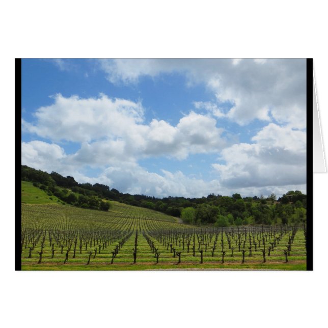 ハナのワイナリー2018年4月 (正面横)