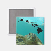 ハナウマベイオアフハワイカメ マグネット (正面/裏面)