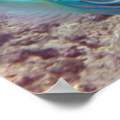 ハナウマベイオウム ポスター (角)