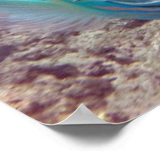 ハナウマベイオウム ポスター (角)