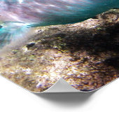 ハナウマベイハワイオウム ポスター (角)