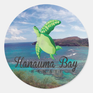ハナウマベイハワイカメ ラウンドシール