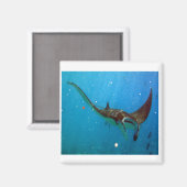 ハナウマベイハワイマンタレイ マグネット (正面/裏面)