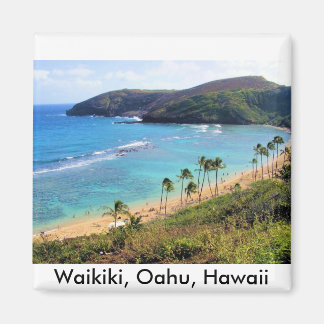 ハナウマベイ，ホノルル，オアフ，ハワイビュー マグネット