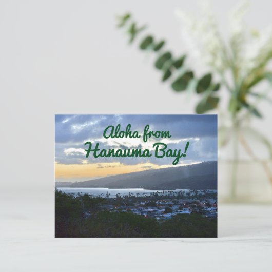 ハナウマ湾からのアロハ ポストカード (スタンド正面)