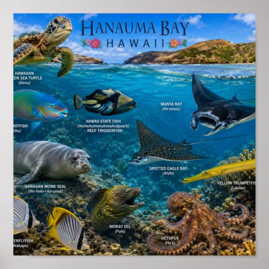 ハナウマ湾 ハワイ ポスター (正面)