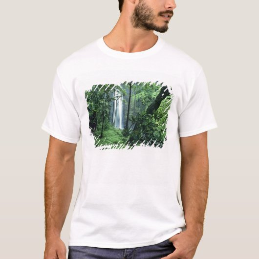 ハナカピアイアの滝　カウアイ島ナパリ海岸沿い Tシャツ (正面)