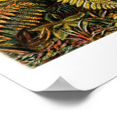 ハナガキのポスター ポスター (角)