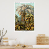 ハナガキのポスター ポスター (キッチン)