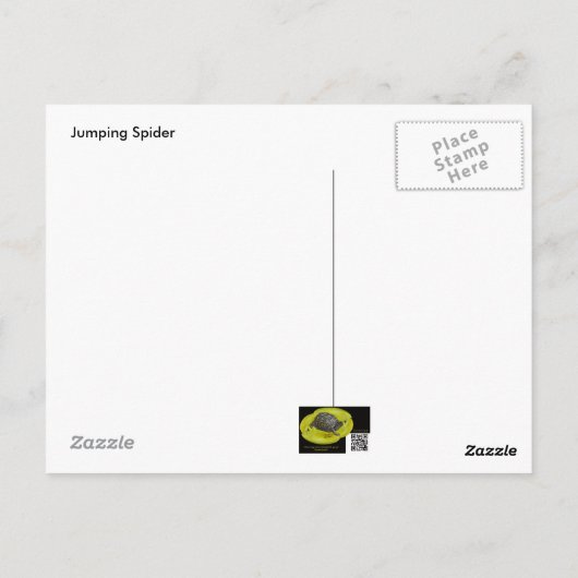 ハナガキ科 ポストカード (裏面)