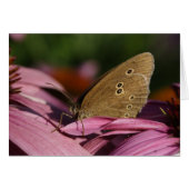 ハナガキ (正面横)