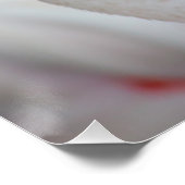 ハナガキ ポスター (コーナー)