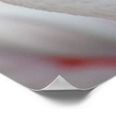 ハナガキ ポスター (角)