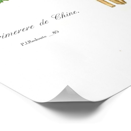 ハナガキ ポスター (角)