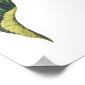 ハナガキ ポスター (角)