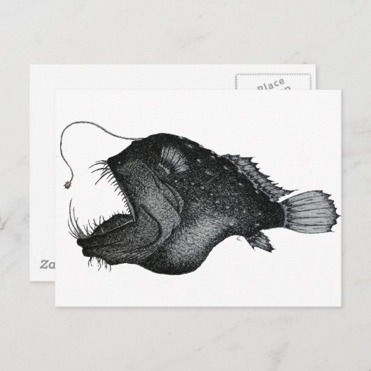 ハナガキ ポストカード (正面/裏面)