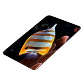 ハナガキ マグネット (左側)