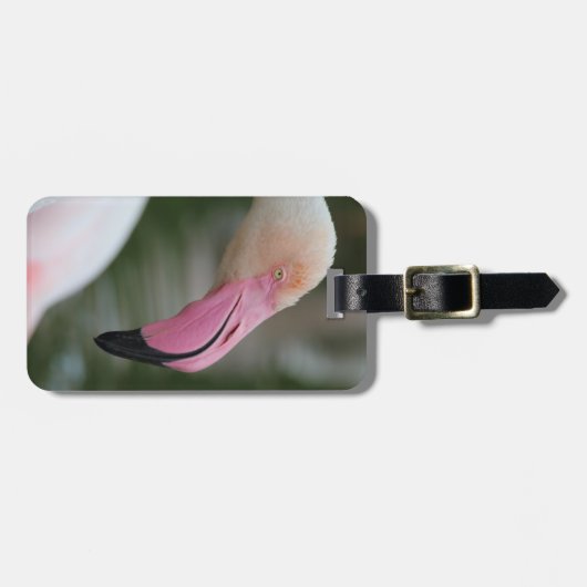 ハナガキ ラゲッジタグ (正面横)