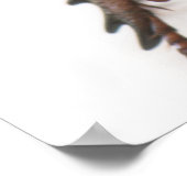 ハナガシムシの雌 ポスター (角)