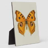 ハナガチョウ フォトプラーク (側面)