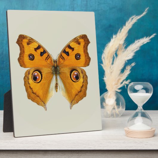 ハナガチョウ フォトプラーク (側面)