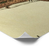 ハナガマズ ポスター (角)