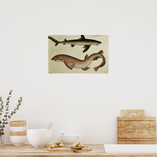 ハナガマズ ポスター (キッチン)