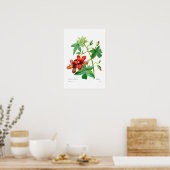 ハナギク ポスター (キッチン)