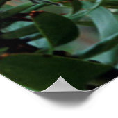 ハナシミツ ポスター (角)