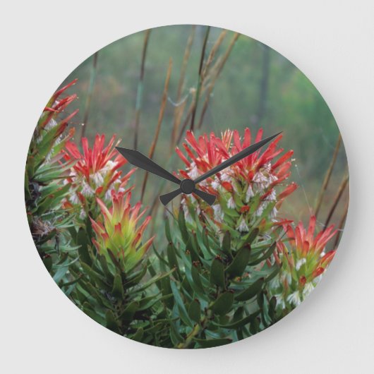 ハナシミツ ラージ壁時計 (正面)