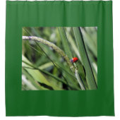 ハナショウブ シャワーカーテン (正面)