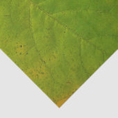 ハナズオウの黄色と緑の葉 薄葉紙 (詳細)