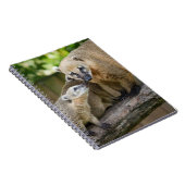 ハナナガグマの赤ちゃんが母と過ごす温かいひととき ノートブック (右側)