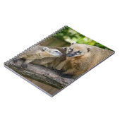 ハナナガグマの赤ちゃんが母と過ごす温かいひととき ノートブック (左側)