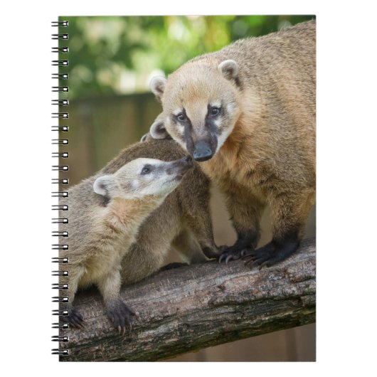 ハナナガグマの赤ちゃんが母と過ごす温かいひととき ノートブック (正面)