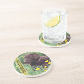 ハナビシソウパッチのチョコレート実験室 コースター (側面)